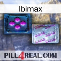 Ibimax 37